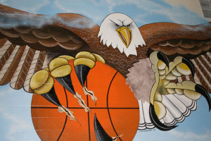 web-eagle-mural-gym