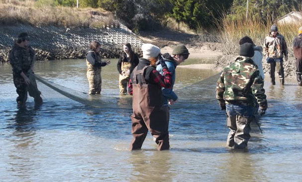 STUDENTS HEAD TO S.C. COAST TO STUDY HABITATS, POLLUTION AND ENDANGERED SPECIES