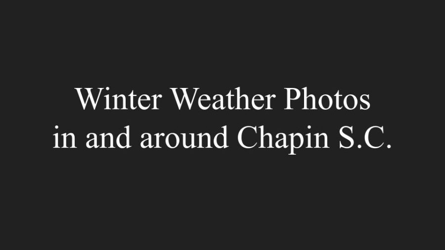 Winter+Weather+Photos+in+Chapin+%2816%29