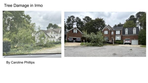 Tree damage in Irmo