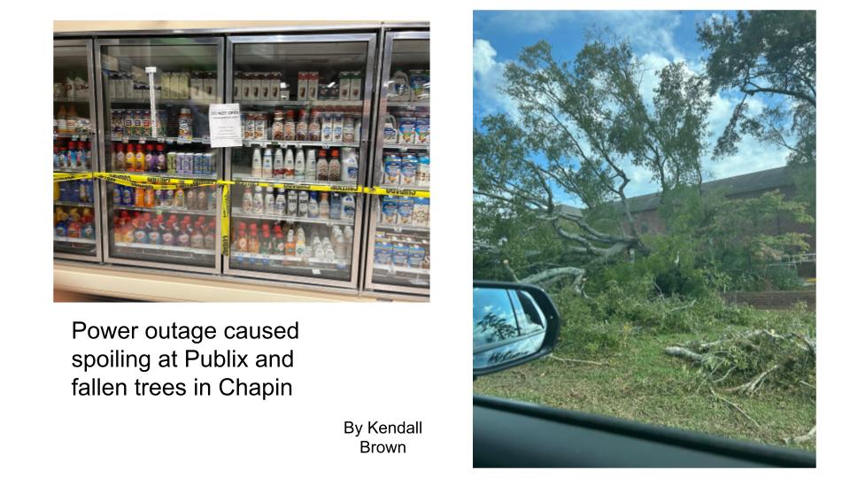 Power outage caused spoiling at Publix and fallen trees in Chapin