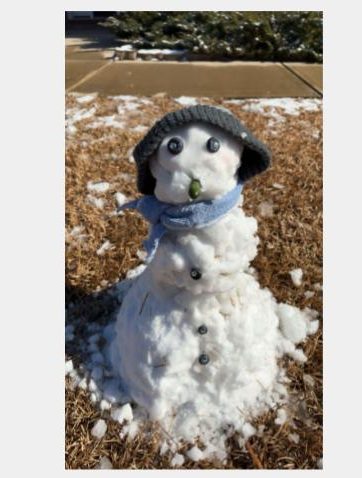 Building a snowman with blueberry buttons before the snow melts. 