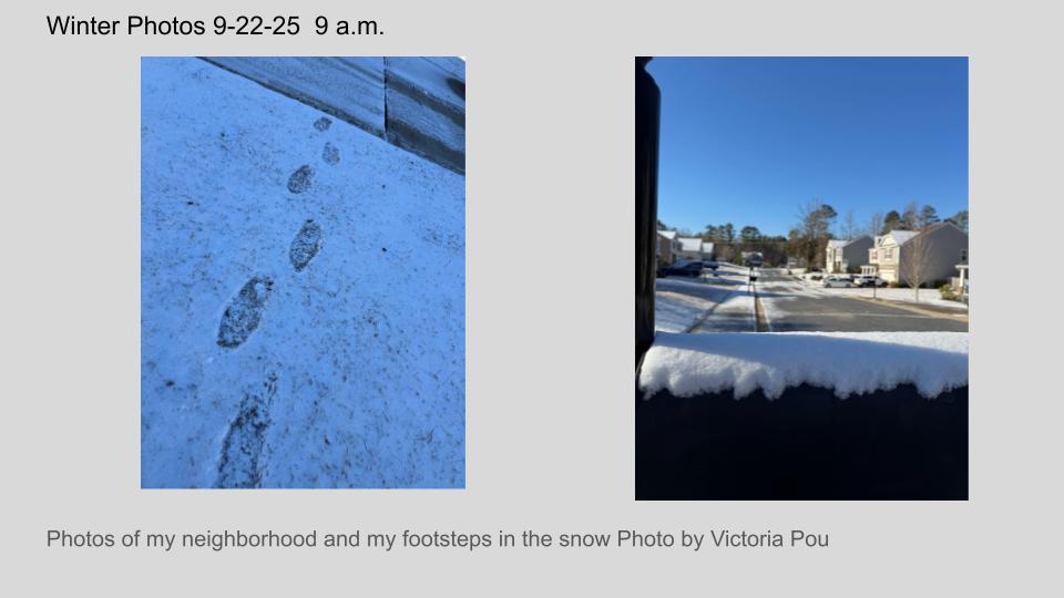 Photos of my neighborhood and my footsteps in the snow Photo by Victoria Pou 