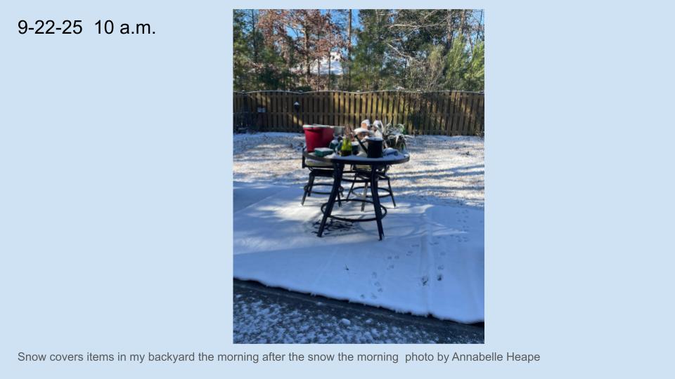 now covers items in my backyard the morning after the snow the morning  
