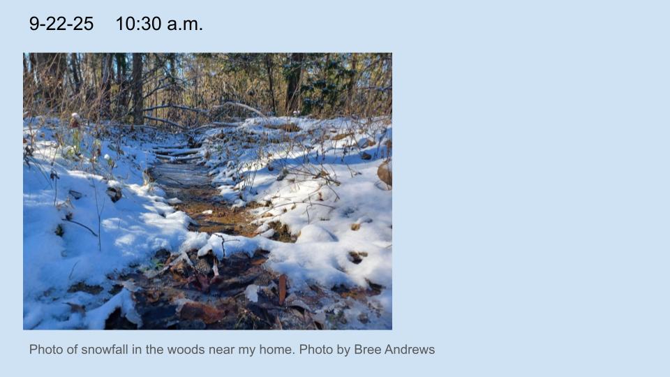 Photo of snowfall in the woods near my home. 