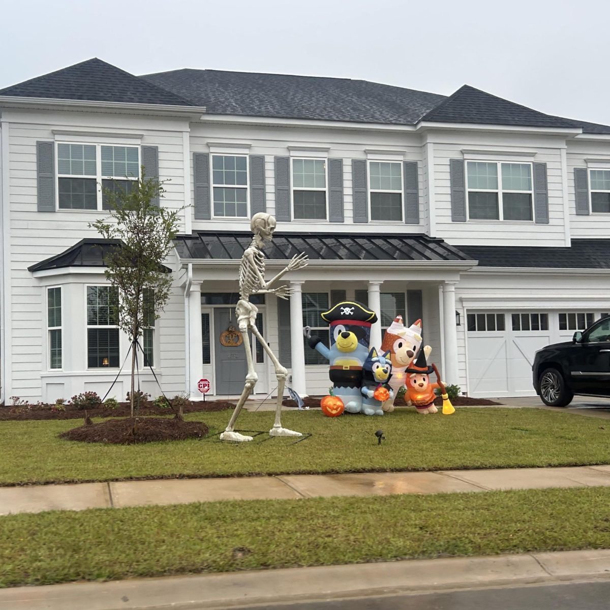 Halloween for Young Adults
