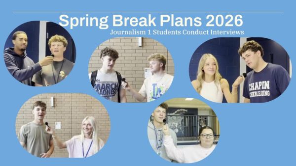 Student Plans for Spring Break